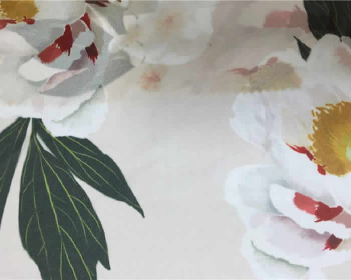 青春舞